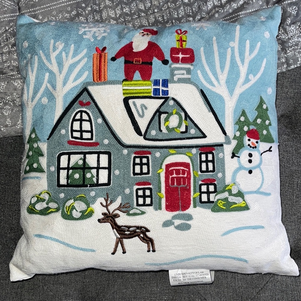 Free** Read description 18”x18” Winter Decor Pillow